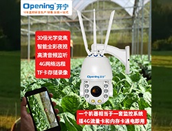 4G無線智能全彩小球 086 （點擊進入大圖）