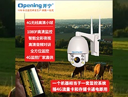 4G無線智能全彩高清監(jiān)控小球065-牧場監(jiān)控